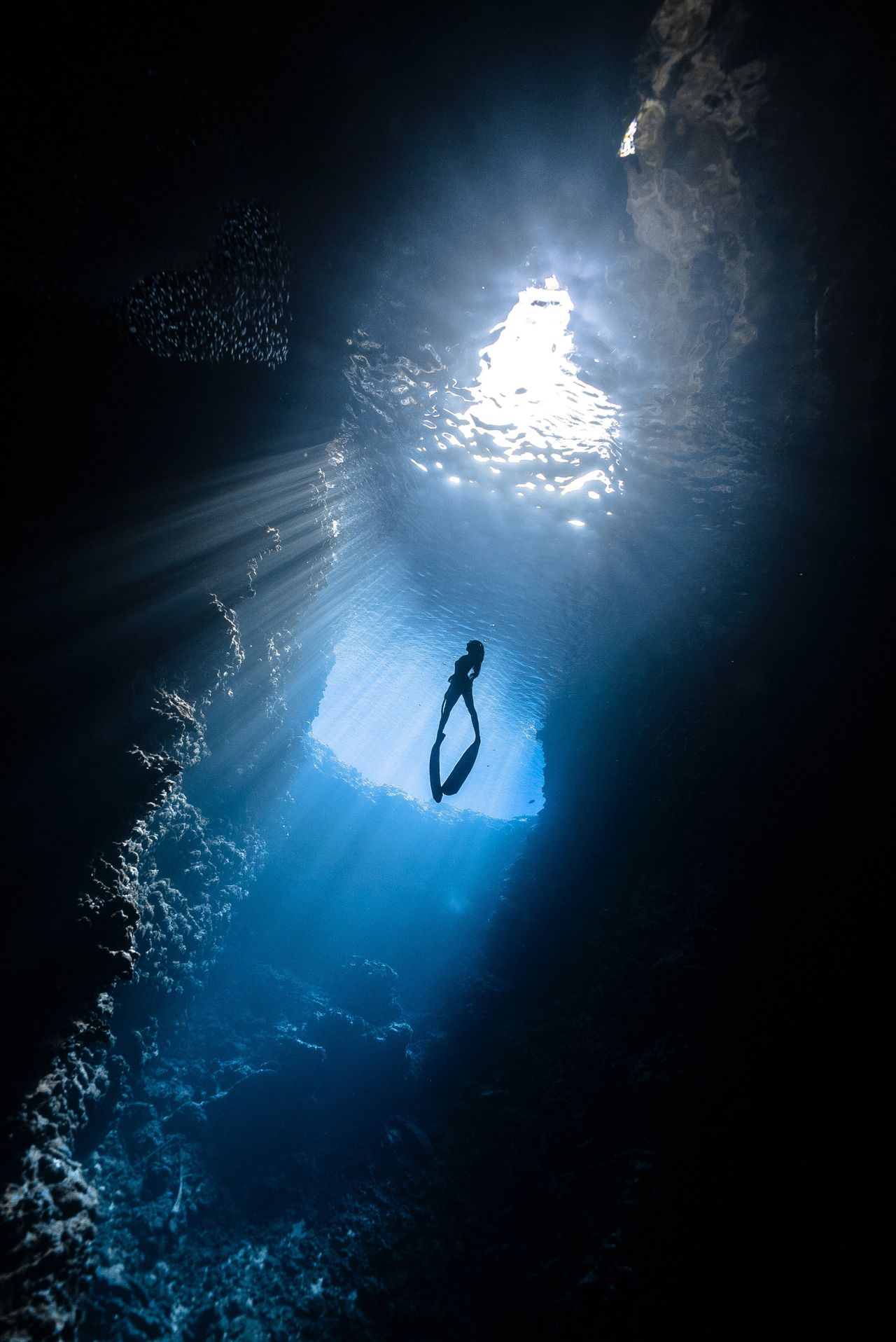 Underwater survey dive